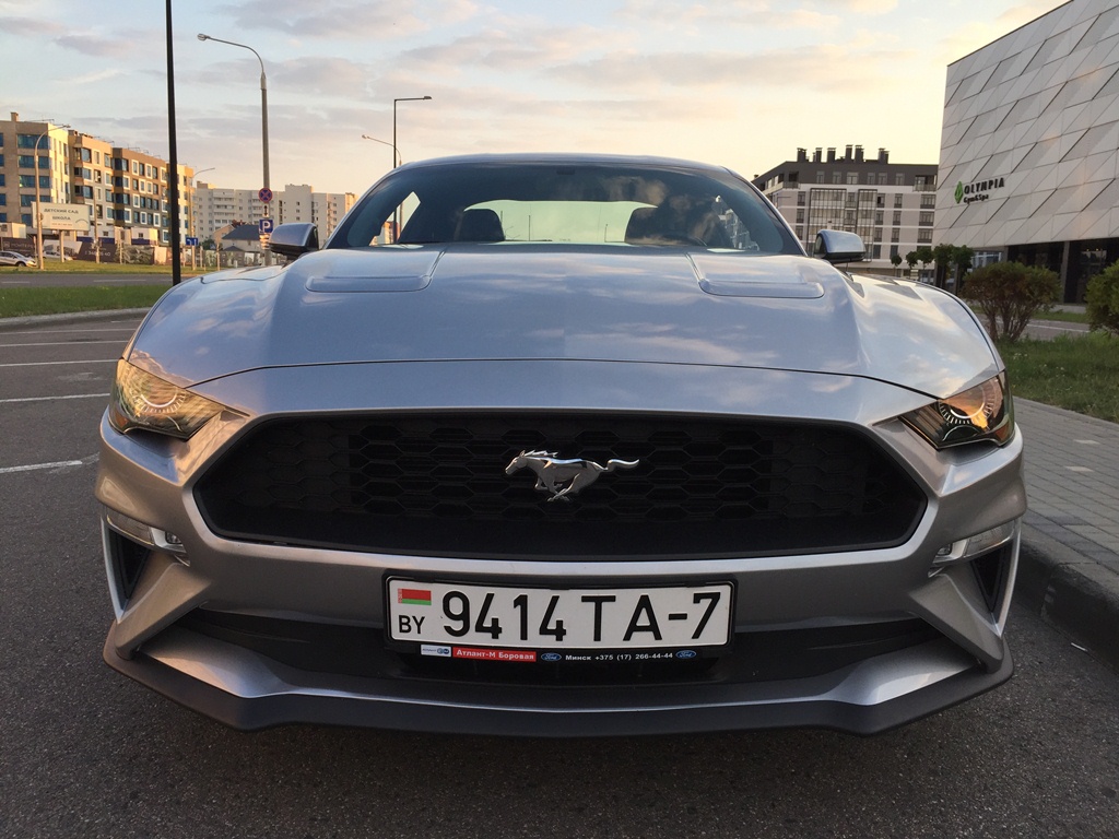 Прокат Ford Mustang Coupe Gray в Симферополе на сутки – аренда авто без  водителя, цена