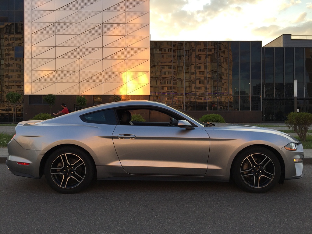 Прокат Ford Mustang Coupe Gray в Симферополе на сутки – аренда авто без  водителя, цена